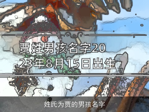 姓氏为贾的男孩名字