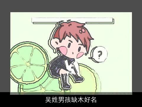 吴姓男孩缺木好名