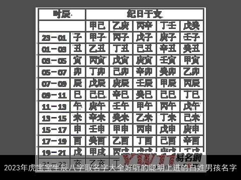 2023年虎宝宝生辰八字取名字大全好听的聪明上进的白姓男孩名字