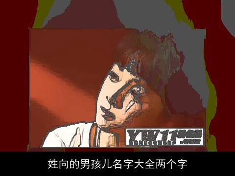 姓向的男孩儿名字大全两个字