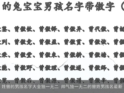 姓曾的男孩名字大全独一无二 帅气独一无二的曾姓男孩名最新