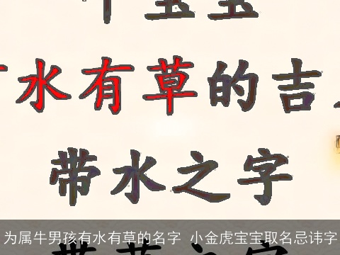 为属牛男孩有水有草的名字 小金虎宝宝取名忌讳字