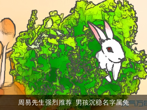 周易先生强烈推荐 男孩沉稳名字属龙