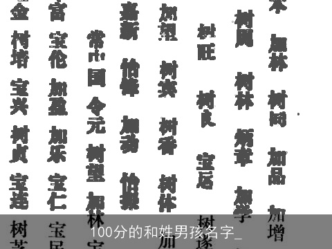 100分的和姓男孩名字_