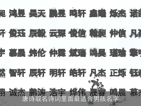 唐诗取名诗词里面最适合男孩名字