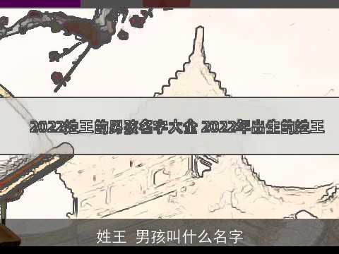 姓王 男孩叫什么名字