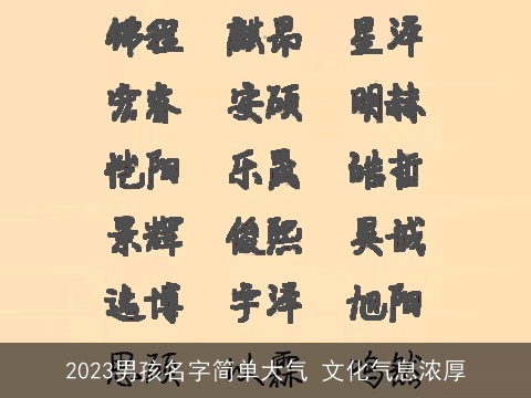 2023男孩名字简单大气 文化气息浓厚