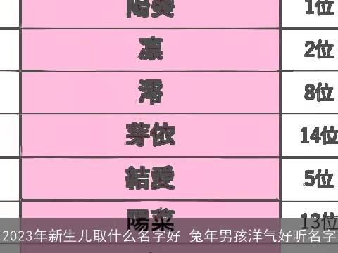 2023年新生儿取什么名字好 兔年男孩洋气好听名字