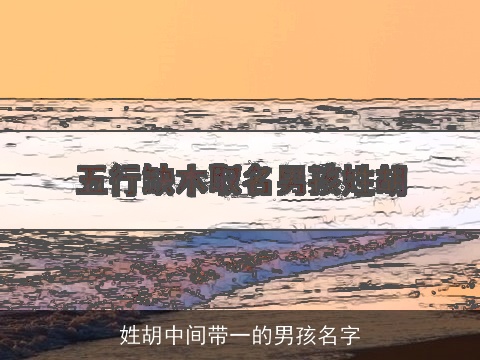 姓胡中间带一的男孩名字