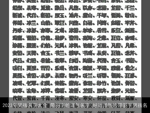 2023年男孩名字大全 带羽字的洋气名字 好听洋气的带羽字男孩名