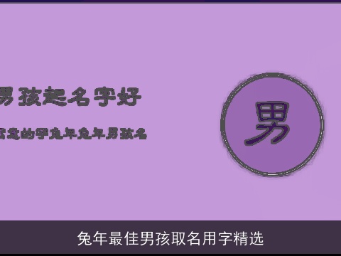 兔年最佳男孩取名用字精选