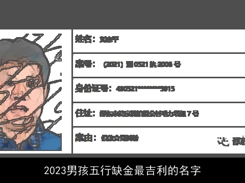 2023男孩五行缺金最吉利的名字