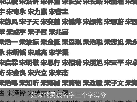 姓宋的男孩名字三个字满分