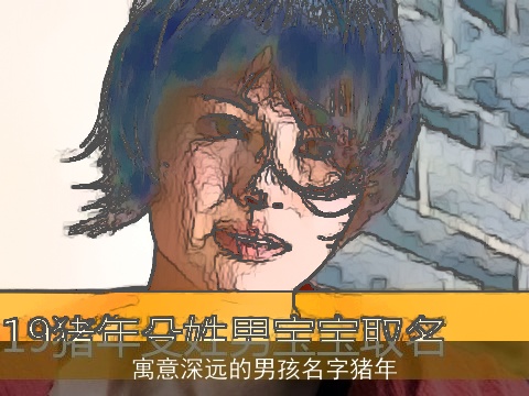 寓意深远的男孩名字猪年