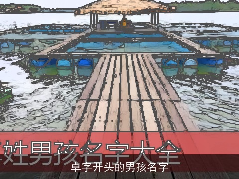 卓字开头的男孩名字