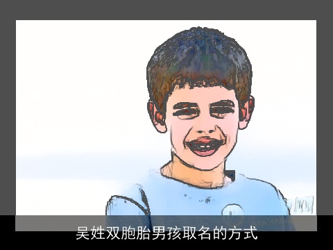 吴姓双胞胎男孩取名的方式