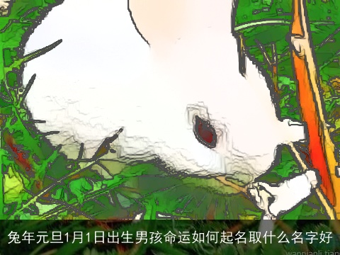 兔年元旦1月1日出生男孩命运如何起名取什么名字好