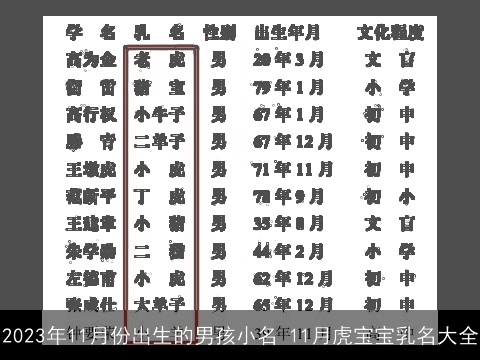 2023年11月份出生的男孩小名 11月虎宝宝乳名大全
