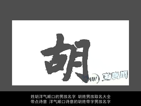 姓胡洋气顺口的男孩名字 胡姓男孩取名大全带点诗意 洋气顺口诗意的胡姓带字男孩名字
