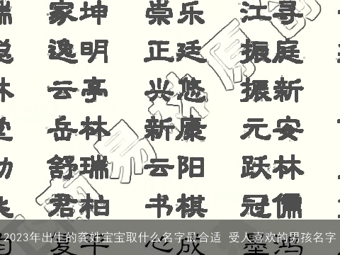 2023年出生的龚姓宝宝取什么名字最合适 受人喜欢的男孩名字
