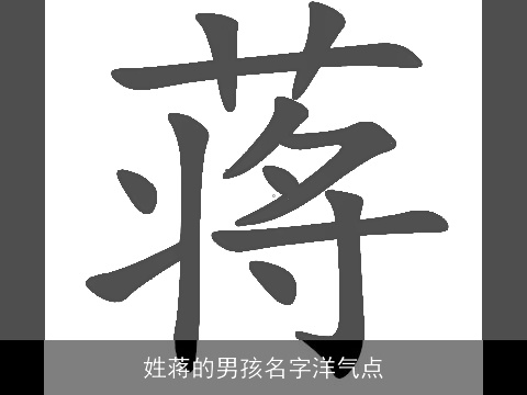 姓蒋的男孩名字洋气点