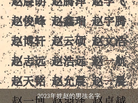 2023年姓赵的男孩名字