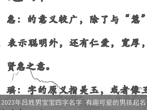 2023年吕姓男宝宝四字名字 有趣可爱的男孩起名