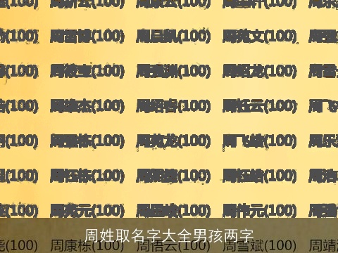 周姓取名字大全男孩两字