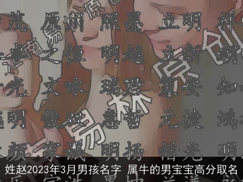 姓赵2023年3月男孩名字 属牛的男宝宝高分取名
