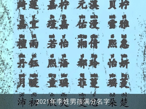 2021年李姓男孩满分名字
