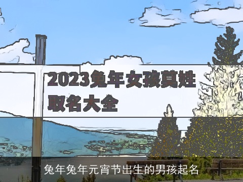 兔年兔年元宵节出生的男孩起名