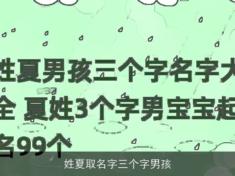 姓夏取名字三个字男孩