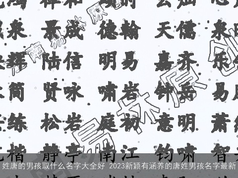 姓唐的男孩取什么名字大全好 2023新颖有涵养的唐姓男孩名字最新