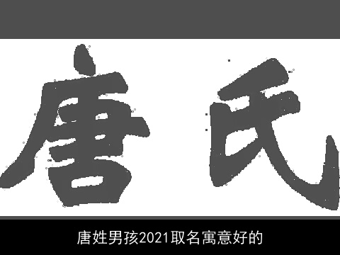 唐姓男孩2021取名寓意好的