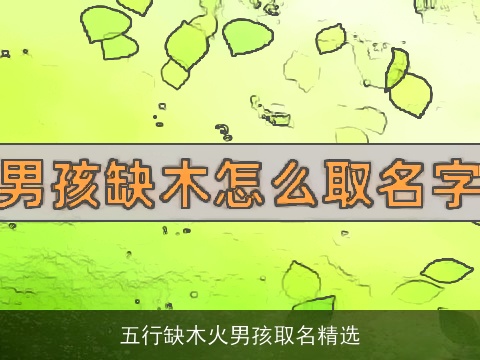 五行缺木火男孩取名精选