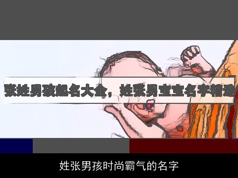 姓张男孩时尚霸气的名字