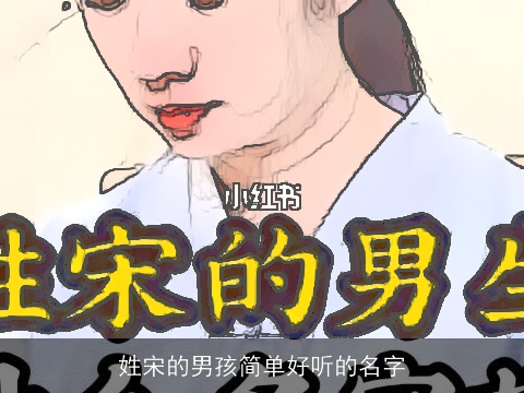 姓宋的男孩简单好听的名字