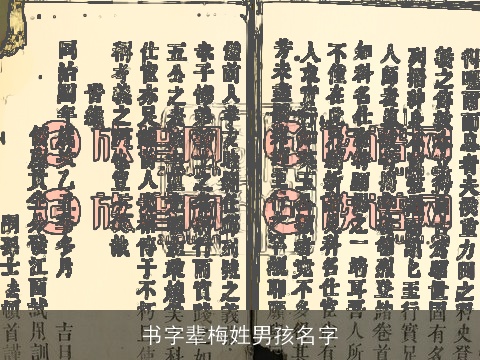 书字辈梅姓男孩名字