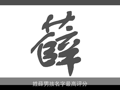 姓薛男孩名字最高评分