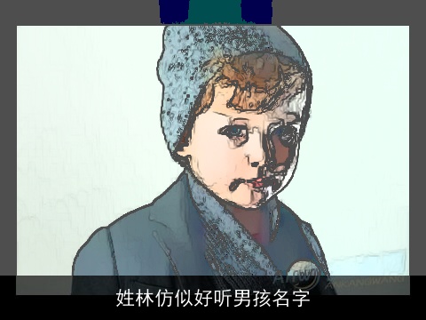 姓林仿似好听男孩名字