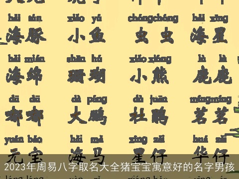 2023年周易八字取名大全猪宝宝寓意好的名字男孩