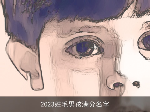 2023姓毛男孩满分名字