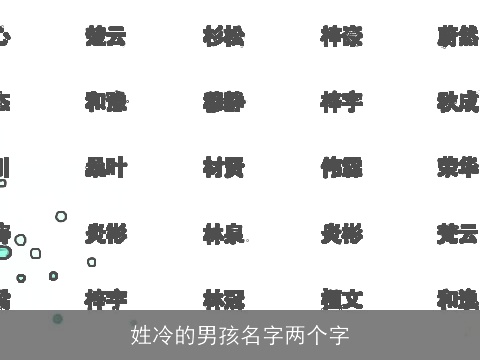 姓冷的男孩名字两个字