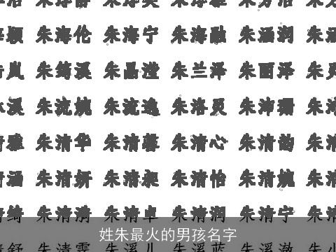 姓朱最火的男孩名字