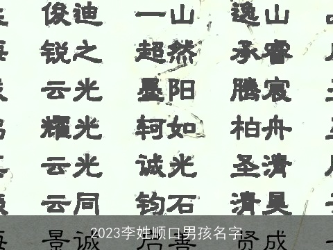 2023李姓顺口男孩名字