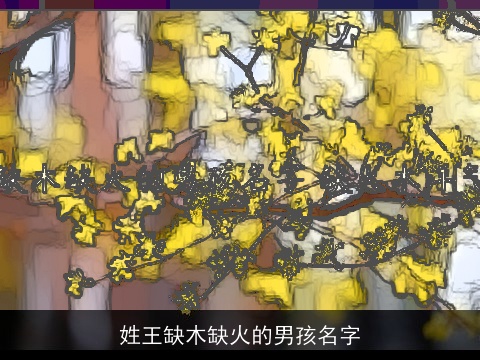 姓王缺木缺火的男孩名字