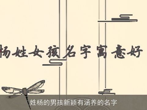 姓杨的男孩新颖有涵养的名字