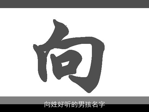 向姓好听的男孩名字