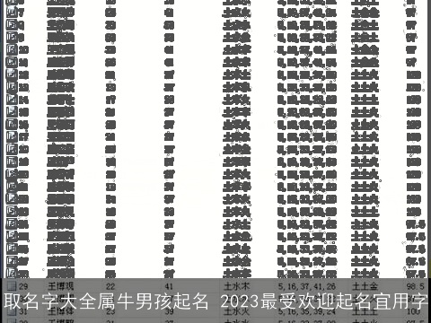 取名字大全属龙男孩起名 2023最受欢迎起名宜用字