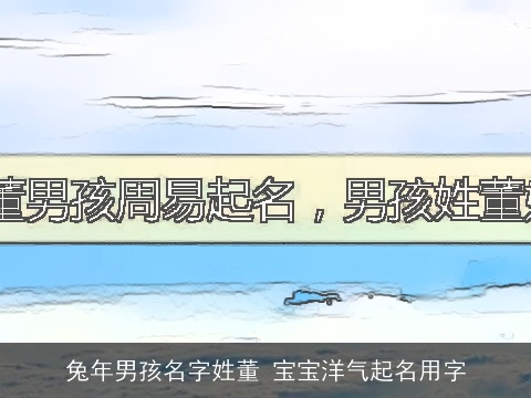 兔年男孩名字姓董 宝宝洋气起名用字